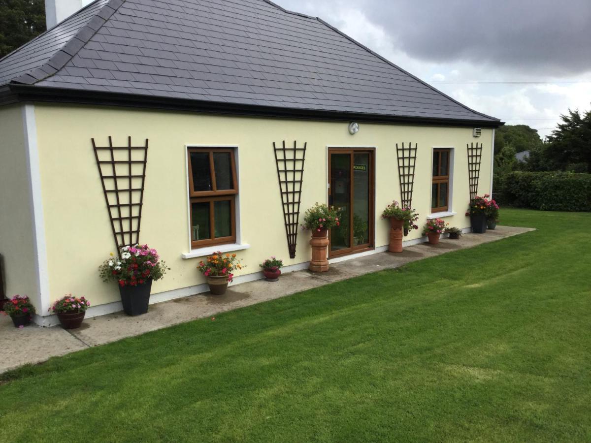 Rose Cottage Westport Zewnętrze zdjęcie